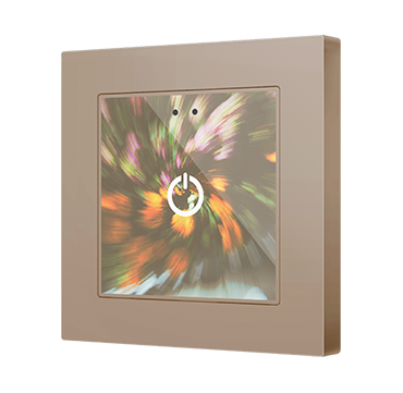 ZVIF55X1V2C_M55CHA1_F55X1_DER_VER_ECHA_CUS_FC0428b_010701007.png