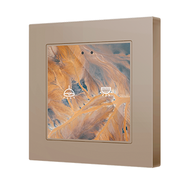 ZVIF55X2V2C_M55CHA1_F55X2_DER_VER_ECHA_CUS_FC0427a_010701007.png