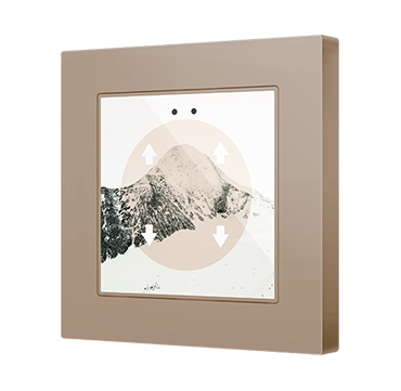 ZVIF55X4V2C_M55CHA1_F55X4_DER_VER_ECHA_CUS_FC0011a_010701007.png