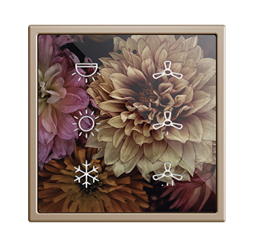 CGI0802JCAM01V01_M70CHA1_FRO_F70X6_CUS_FC0289_010701028.png