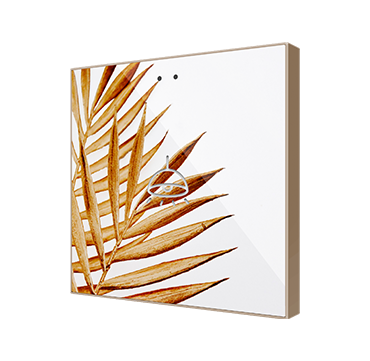 ZVIF1V2_F1_DER_VER_ECHA_CUS_FC0425_L.png